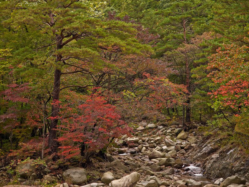 Seorak National Park